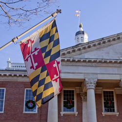 Maryland flag