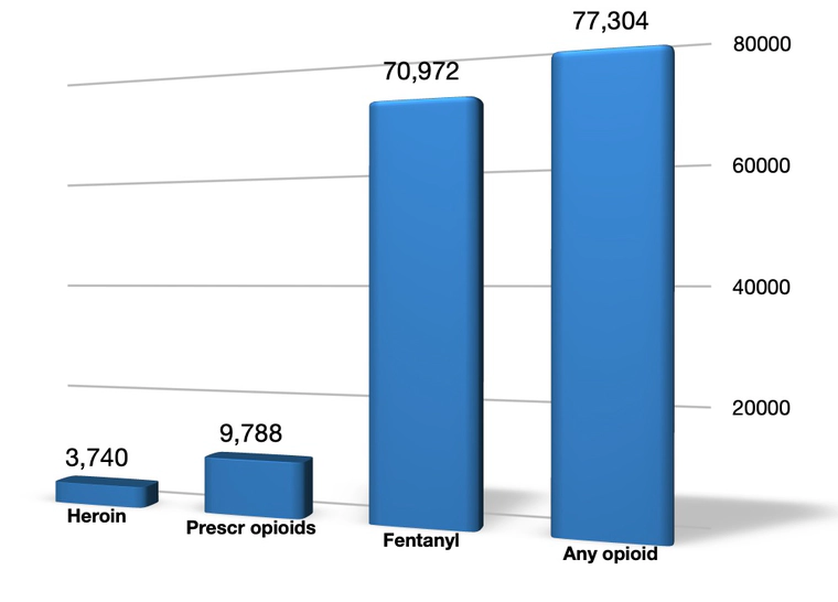 Provisional Drug Overdose Death Counts