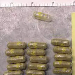 Kratom photo from the DEA